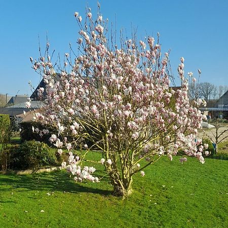 L'Abri Des Ames Appartement Gerponville Buitenkant foto
