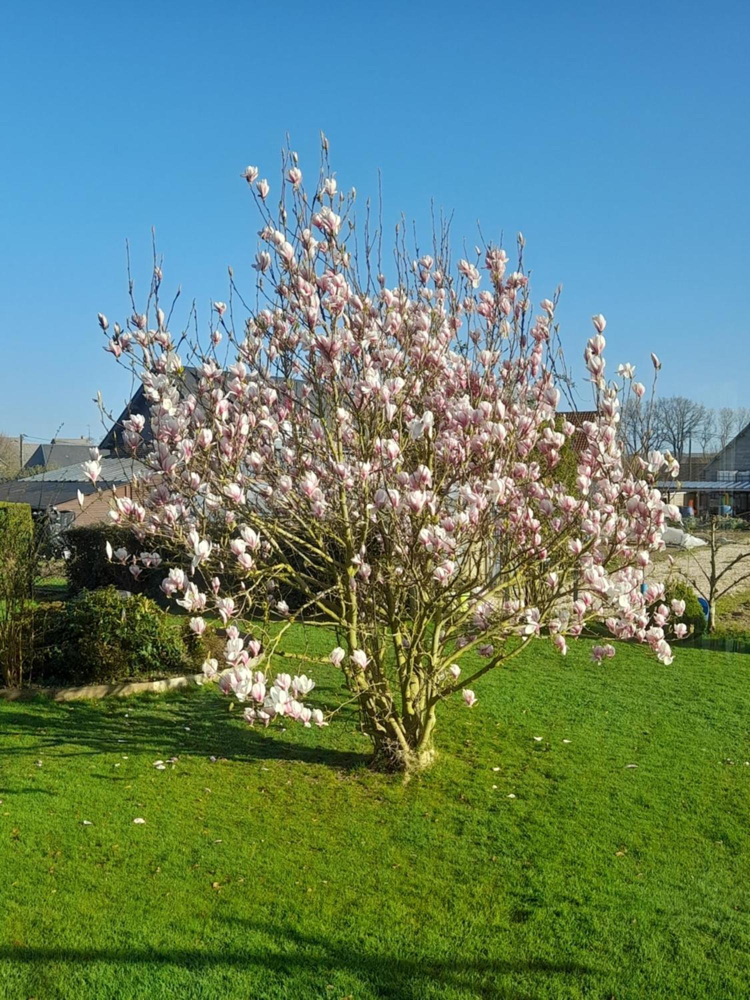 L'Abri Des Ames Appartement Gerponville Buitenkant foto